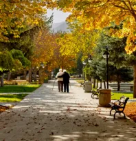 Kayseri Büyükşehir Belediyesi'nden 'Gümüş Yollar' Projesi