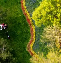 Kayseri Büyükşehir Belediyesi'nden Yeşil Yatırım: 127 Milyon TL