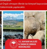 Kayseri'de 2025 yılı hayvancılık destekleme başvuruları için son gün 1 Aralık
