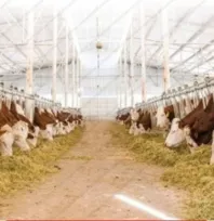 Kayseri'de 34 milyon liralık tarımsal destek ödemeleri çiftçilerin hesabına aktarılıyor