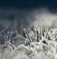 Kayseri'de buzlanma ve don olayı bekleniyor