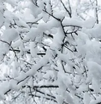Kayseri'de hafta sonu: Çok bulutlu ve kar yağışlı