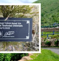 Kayseri'de her doğan bebekle Ali Dağı yeşilleniyor