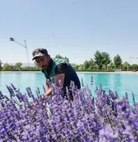 Kayseri'de Lavanta Bahçeleri ile Doğal Güzellikler ve Ürünler