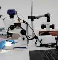 Kayseri'de Tarihi ve Kültürel Mirası Koruma Çalışmaları