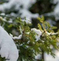 Kayseri hafta içi parçalı bulutlu ve kar yağışlı geçecek