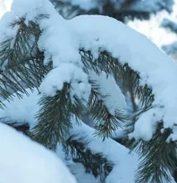 Kayseri, hafta içi soğuk ve kar yağışlı