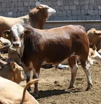 Kayserili besicilerin su faturalarında yüzde 50 indirim