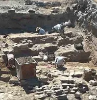 Kültepe'de 4.500 Yıllık Meyve Kuruları Gün Yüzüne Çıktı