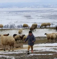 Meteoroloji uyardı: 'Hayvanların güvenli bölgelere getirilmesi önemli'