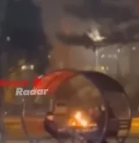 Parkta kamelya yakan 3 çocuk yakalandı