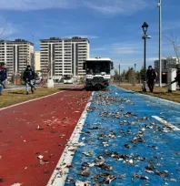 R. Tayyip Erdoğan Millet Bahçesi'nde Kapsamlı Bakım ve Temizlik Çalışmaları