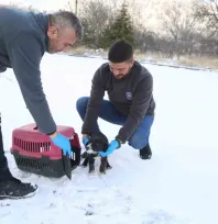 Sevimli Dost ambulansı, binlerce sokak hayvanının yardımına koştu