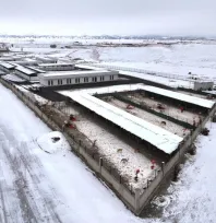 Sokak hayvanlarına beş yıldızlı sıcak bakımevi