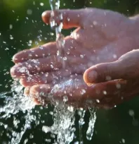 'Su kayıplarının üçte bir oranında azaltılması 800 milyon kişinin temiz su ihtiyacına eş değerdir'