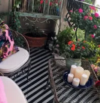 Talas 2026'da Rengarenk Olacak Görkemli Çiçek Festivali!