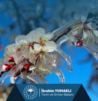 Tarım sigortası olmayan üreticilere toplam 1,7 milyar lira destek ödemesi