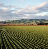 Tarımsal girdi fiyat endeksi yıllık bazda yüzde 33,66 arttı