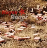 Tıbbi atıkları yol kenarına atan şahıs yakalandı