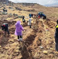 Tomarza Böke'de 500 fidan toprakla buluştu