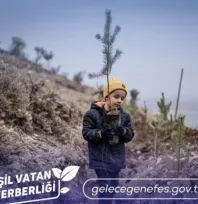 Türkiye, Avrupa'da ağaçlandırmada birinci, dünyada üçüncü sırada