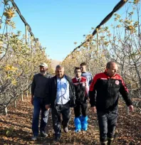 Yahyalı'da 2 milyon TL'lik meyve bahçesi projesine yüzde 50 hibe desteği