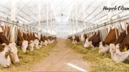 Kayseri'de 34 milyon liralık tarımsal destek ödemeleri çiftçilerin hesabına aktarılıyor