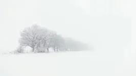 Kayseri'de hafta sonu: Kar yağışlı ve sisli