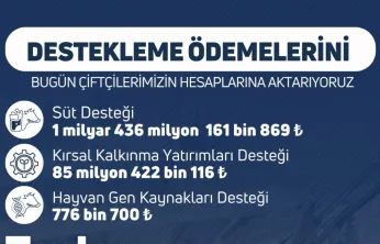 1 milyar 522 milyon liralık destek ödemesi bugün hesaplara yatırılacak