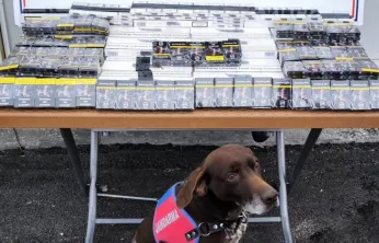 700 paket bandrolsüz kaçak sigara ele geçirildi