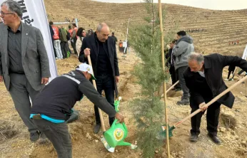 Ali Dağının Zirvesine 1111 Fidan