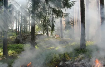 Artan sıcaklık ve rüzgar, yangın tehlikesini artırıyor