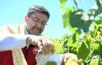 Bakan Yumaklı: '14 milyon 914 bin fidanla yeni bir rekora imza attık'