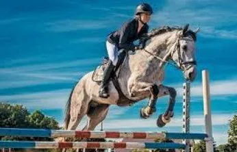 Binicilik meraklıları için kayıtlar başladı