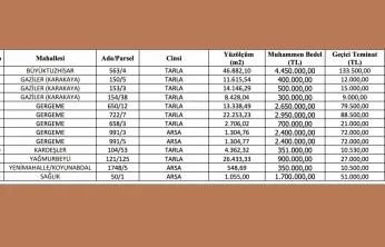Bünyan Belediyesi 13 taşınmazı satışa çıkardı