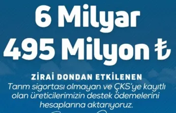 ÇKS'ye kayıtlı üreticilere 6 milyar 495 milyon TL daha destek aktarılacak
