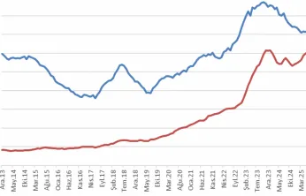 Evcil Hayvan Maması İthalatı, İşlemciyi Geride Bıraktı: Türkiye'nin Ekonomik Öncelikleri Tartışılıyor