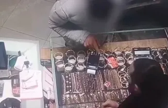 Hayvan sevgisi istismarı: Kedi Maması Dolandırıcılığı