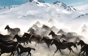 Hürmetçi Sazlığı: Doğanın Huzur Dolu Adresi