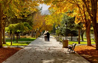 Kayseri Büyükşehir Belediyesi'nden 'Gümüş Yollar' Projesi