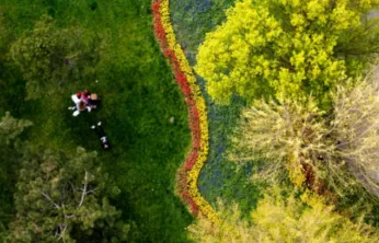 Kayseri Büyükşehir Belediyesi'nden Yeşil Yatırım: 127 Milyon TL