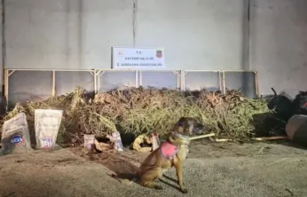 Kayseri dahil 63 ilde operasyon: 1 ton 343 kilogram uyuşturucu madde ele geçirildi