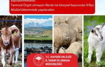 Kayseri'de 2025 yılı hayvancılık destekleme başvuruları için son gün 1 Aralık