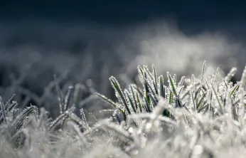 Kayseri'de buzlanma ve don olayı bekleniyor