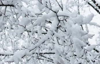 Kayseri'de hafta sonu: Çok bulutlu ve kar yağışlı