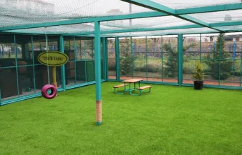 Kayseri'de sokak hayvanları için sıcak yuva: Kedi Kasabası