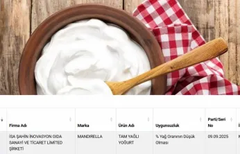 Kayseri'de üretilen yoğurtta uygunsuzluk tespit edildi