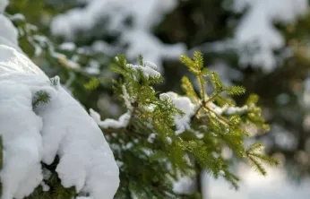 Kayseri hafta içi parçalı bulutlu ve kar yağışlı geçecek