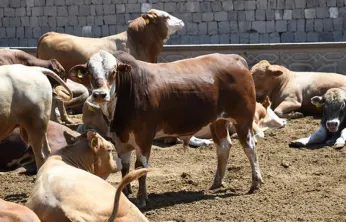 Kayserili besicilerin su faturalarında yüzde 50 indirim