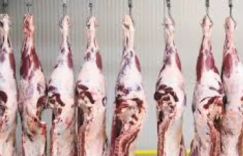 KTB duyurdu: 'Sığır karkas kesim standartlarında önemli değişiklikler yapıldı'
